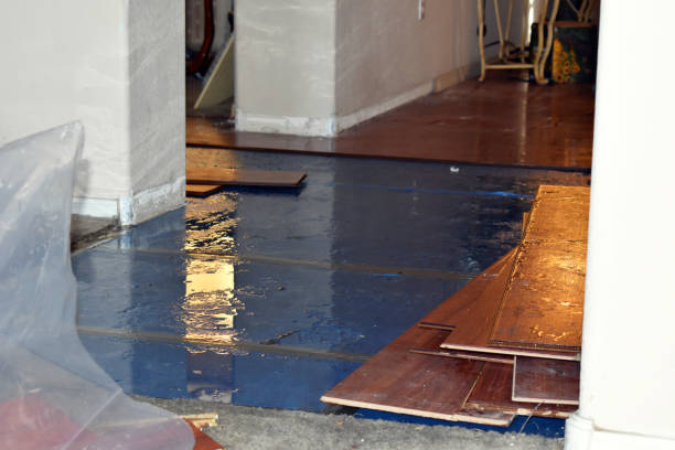 Professional Water Extraction technician working in Rudolph, WI